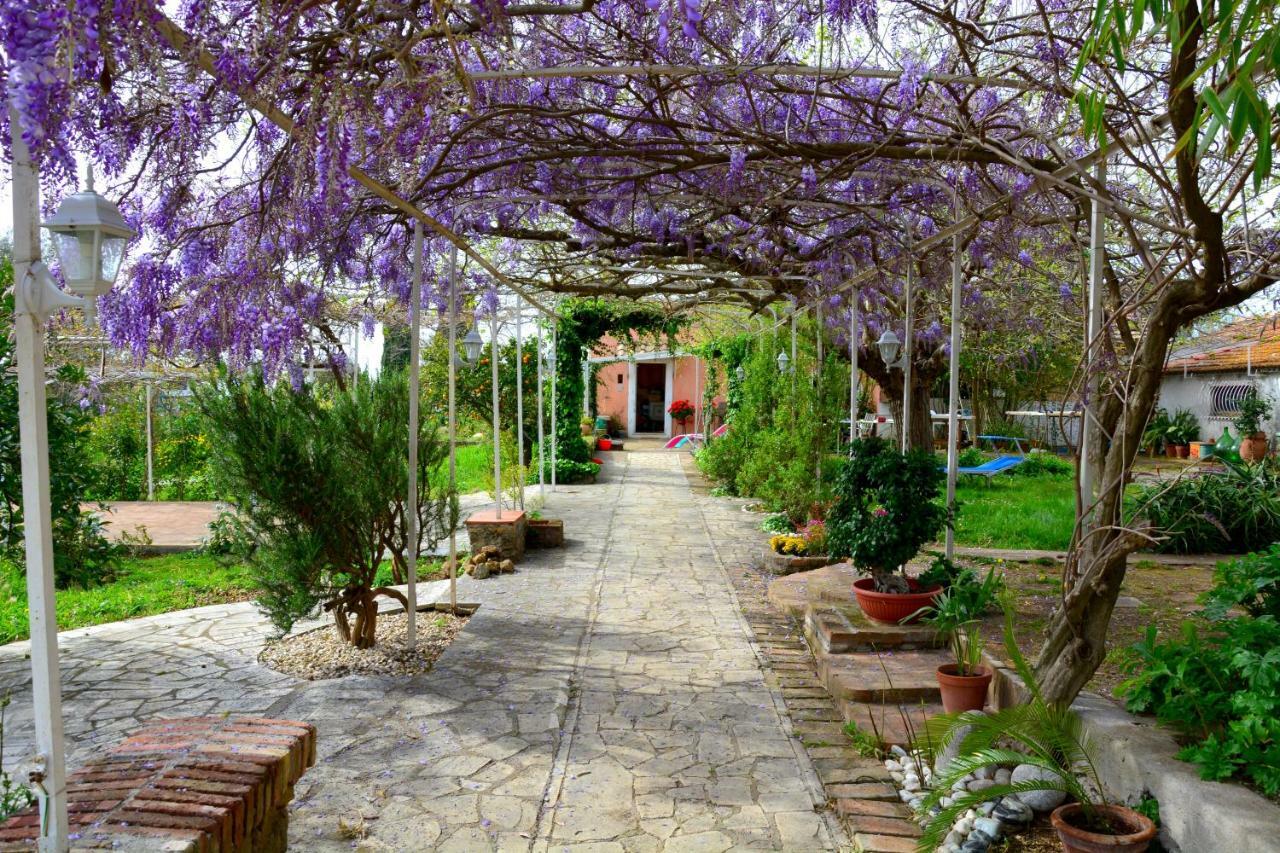 Casale Del Gelso Villa เจนซาโน ดิ โรมา ภายนอก รูปภาพ