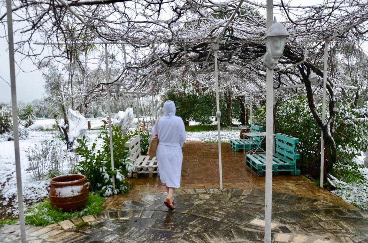 Casale Del Gelso Villa เจนซาโน ดิ โรมา ภายนอก รูปภาพ