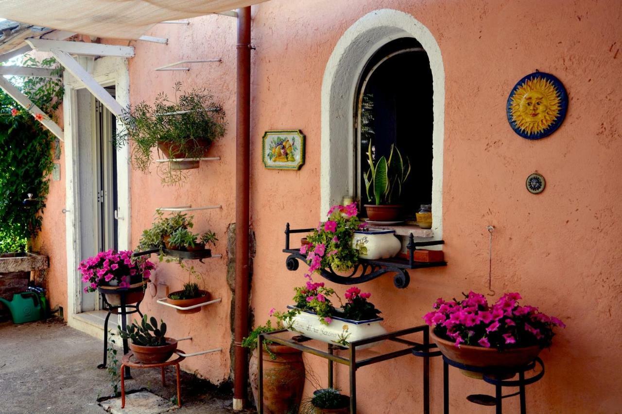 Casale Del Gelso Villa เจนซาโน ดิ โรมา ภายนอก รูปภาพ