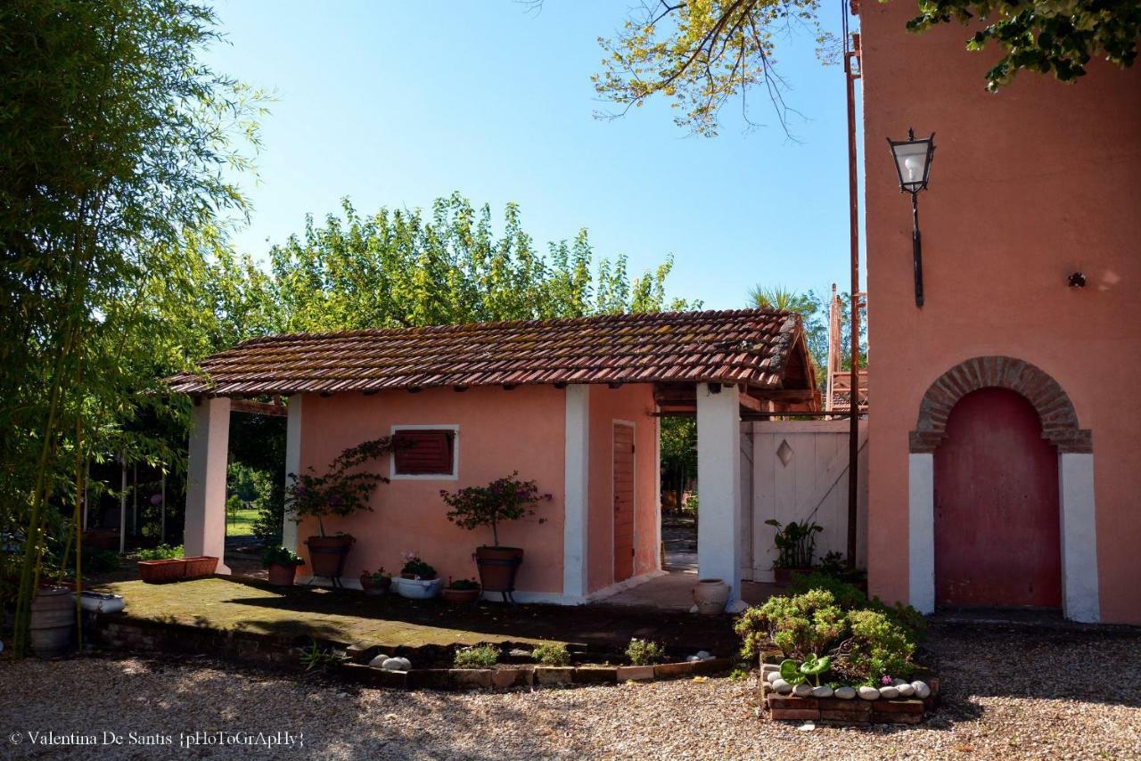 Casale Del Gelso Villa เจนซาโน ดิ โรมา ภายนอก รูปภาพ
